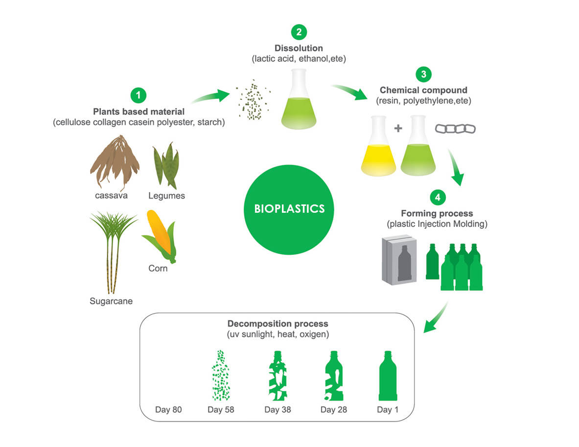 Life Cycle of Bioplastics