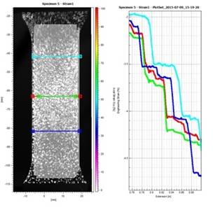 4 different transverse gauge lengths using Digital Image Correlation Software